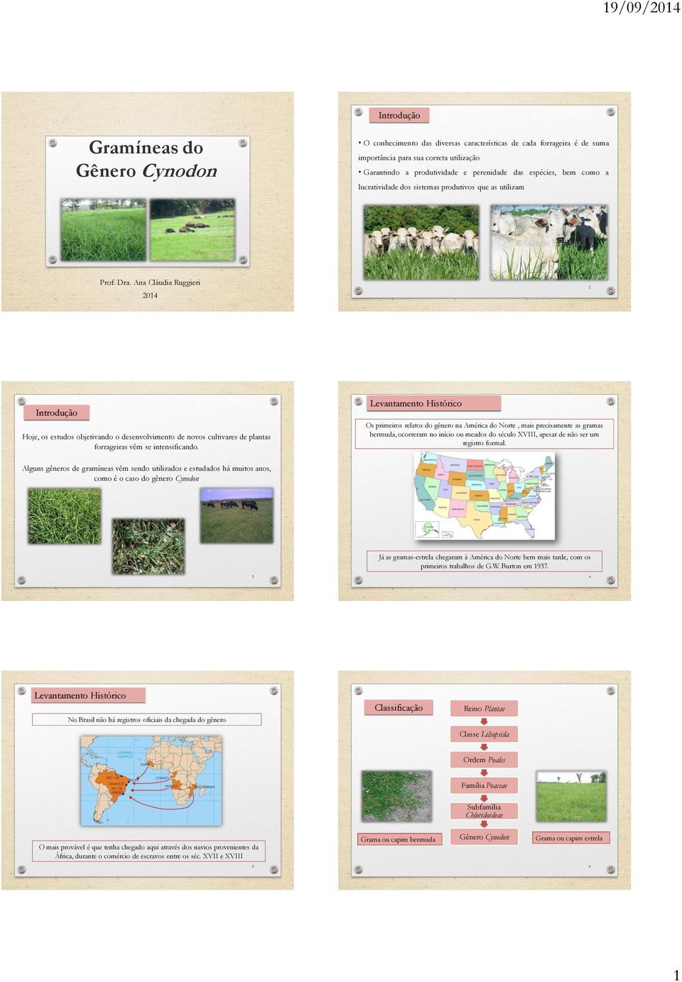 Ana Cláudia Ruggieri 2014 2 Introdução Hoje, os estudos objetivando o desenvolvimento de novos cultivares de plantas forrageiras vêm se intensificando.