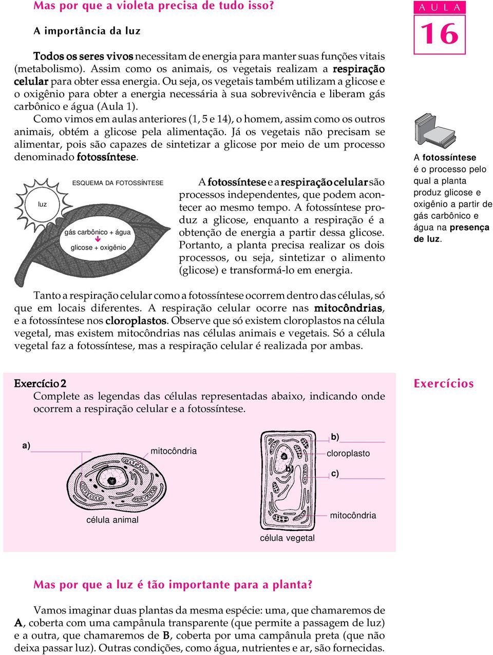 Ou seja, os vegetais também utilizam a glicose e o oxigênio para obter a energia necessária à sua sobrevivência e liberam gás carbônico e água (Aula 1).