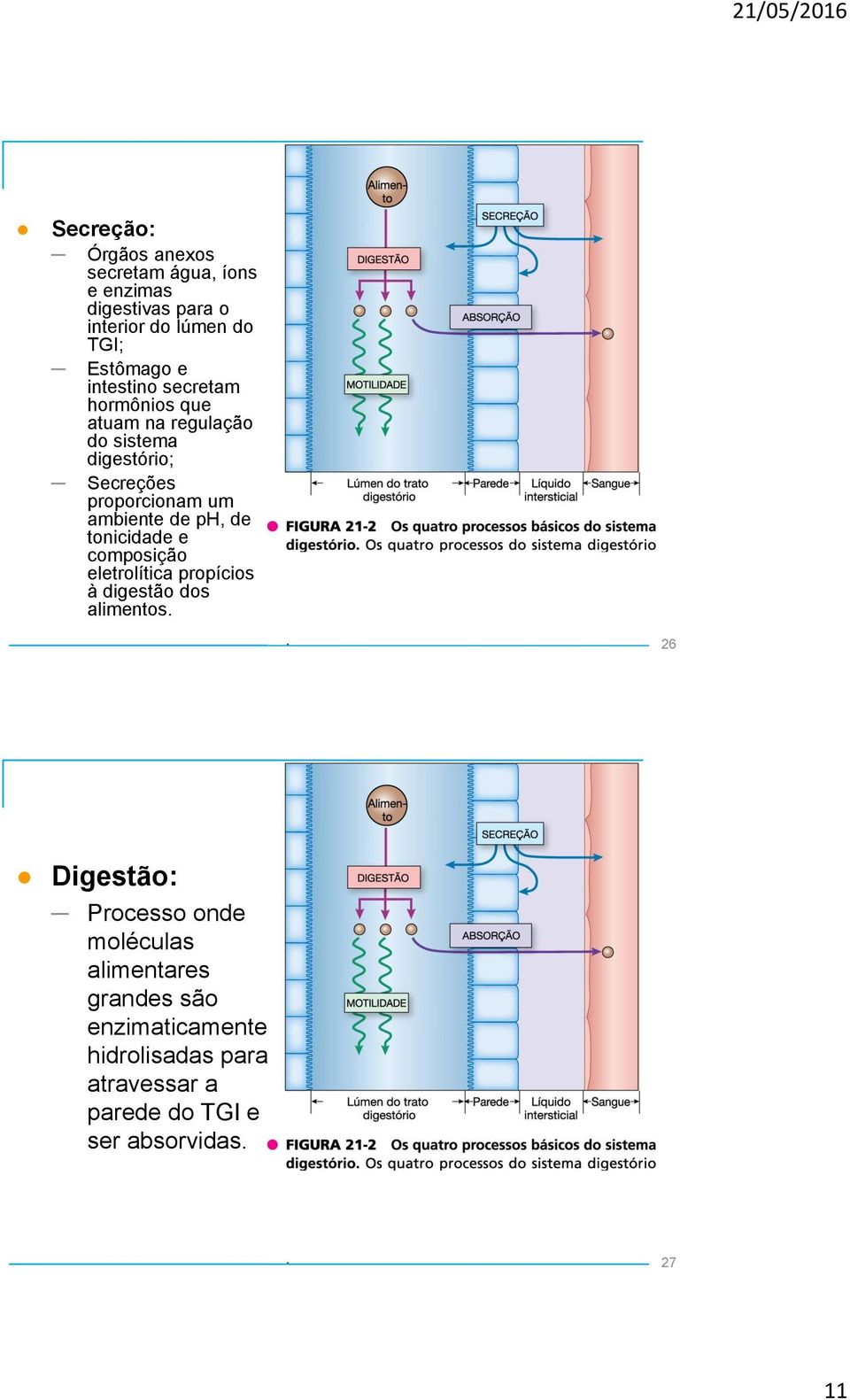 de ph, de tonicidade e composição eletrolítica propícios à digestão dos alimentos.