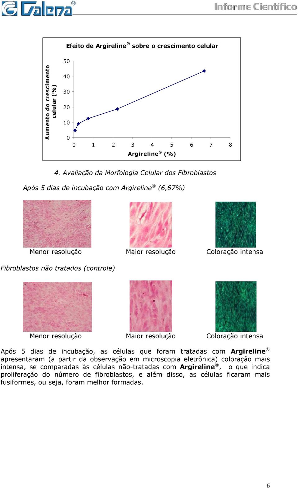 (controle) Menor resolução Maior resolução Coloração intensa Após 5 dias de incubação, as células que foram tratadas com Argireline apresentaram (a partir da observação em
