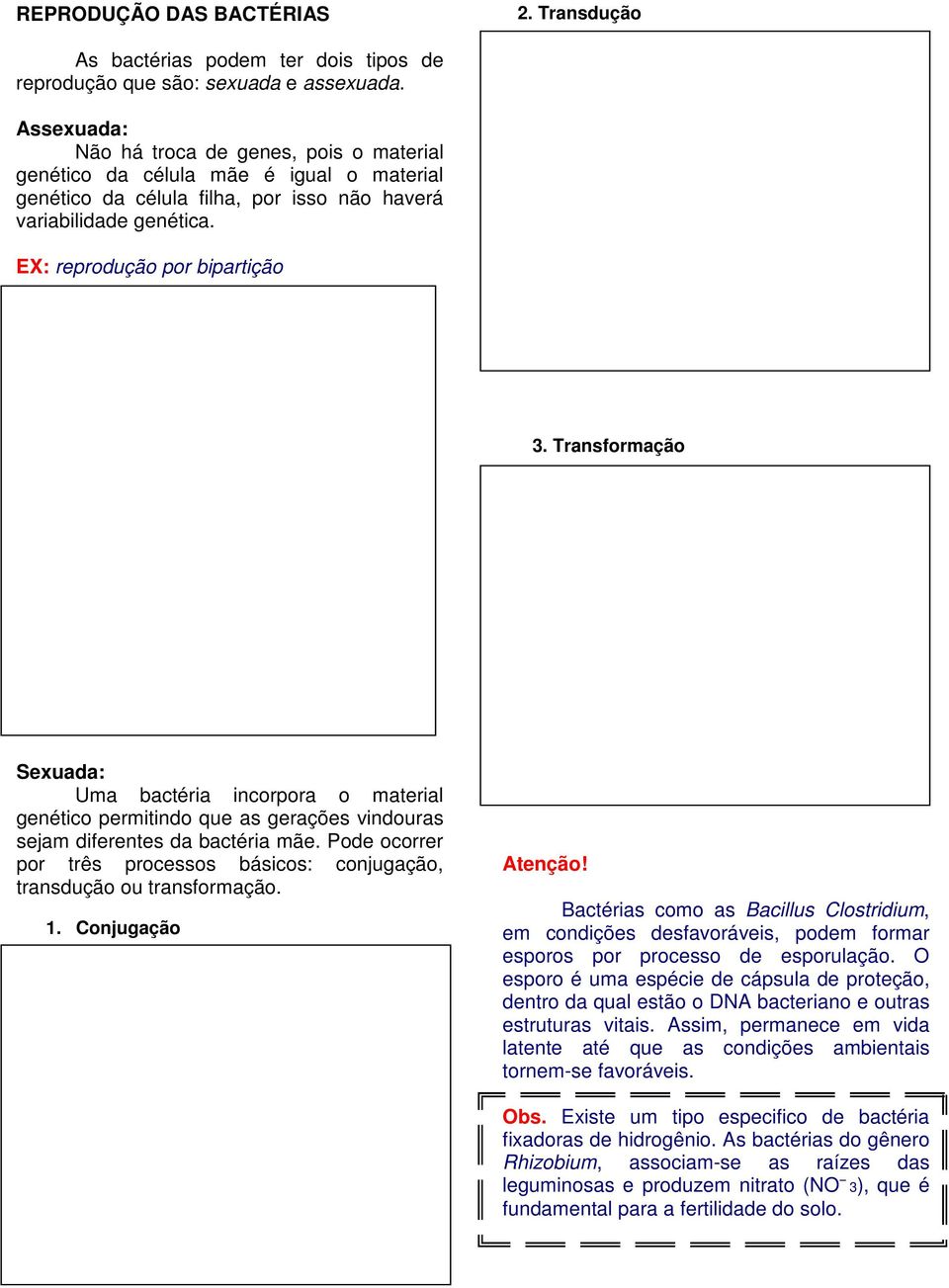 Transformação Sexuada: Uma bactéria incorpora o material genético permitindo que as gerações vindouras sejam diferentes da bactéria mãe.