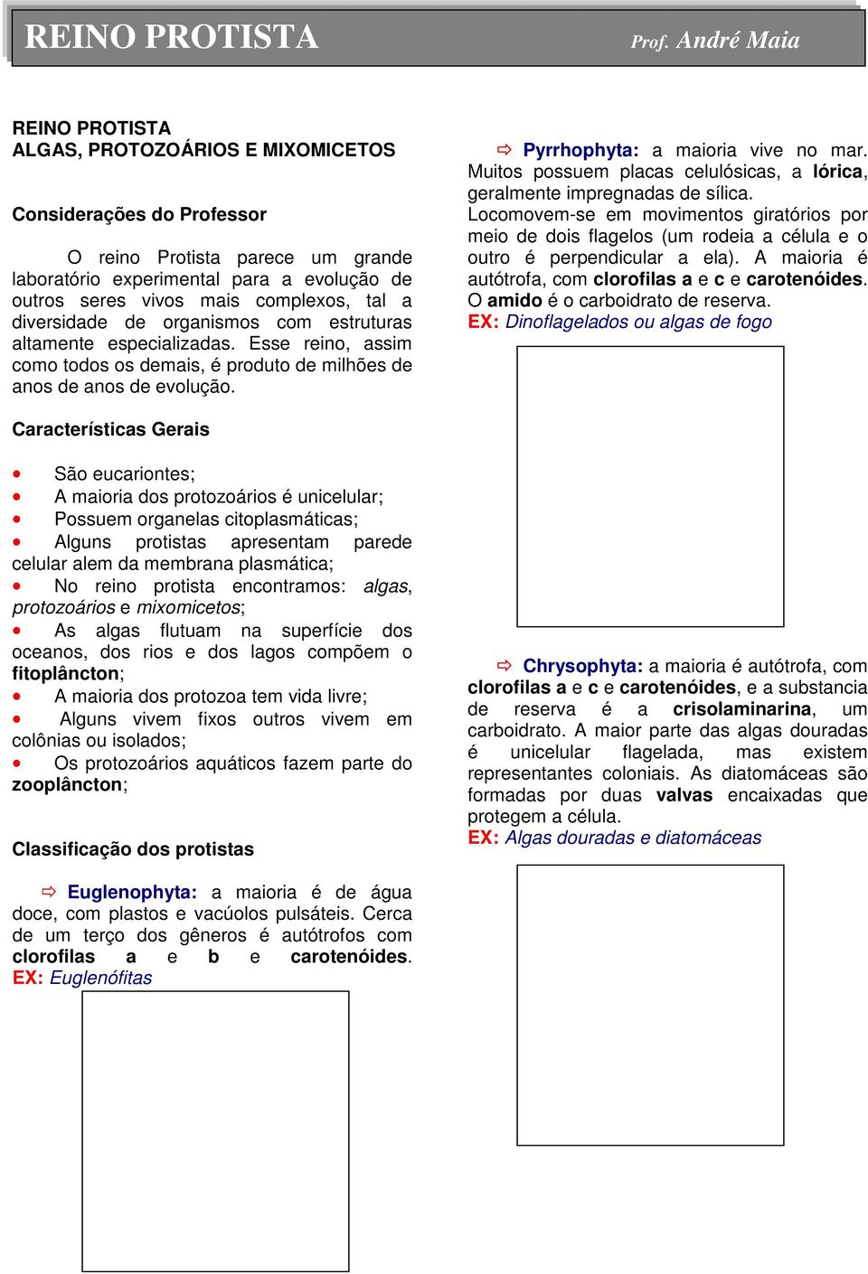 tal a diversidade de organismos com estruturas altamente especializadas. Esse reino, assim como todos os demais, é produto de milhões de anos de anos de evolução. Pyrrhophyta: a maioria vive no mar.