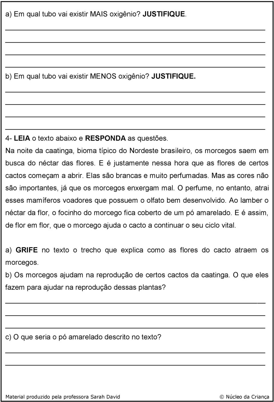 Elas são brancas e muito perfumadas. Mas as cores não são importantes, já que os morcegos enxergam mal. O perfume, no entanto, atrai esses mamíferos voadores que possuem o olfato bem desenvolvido.