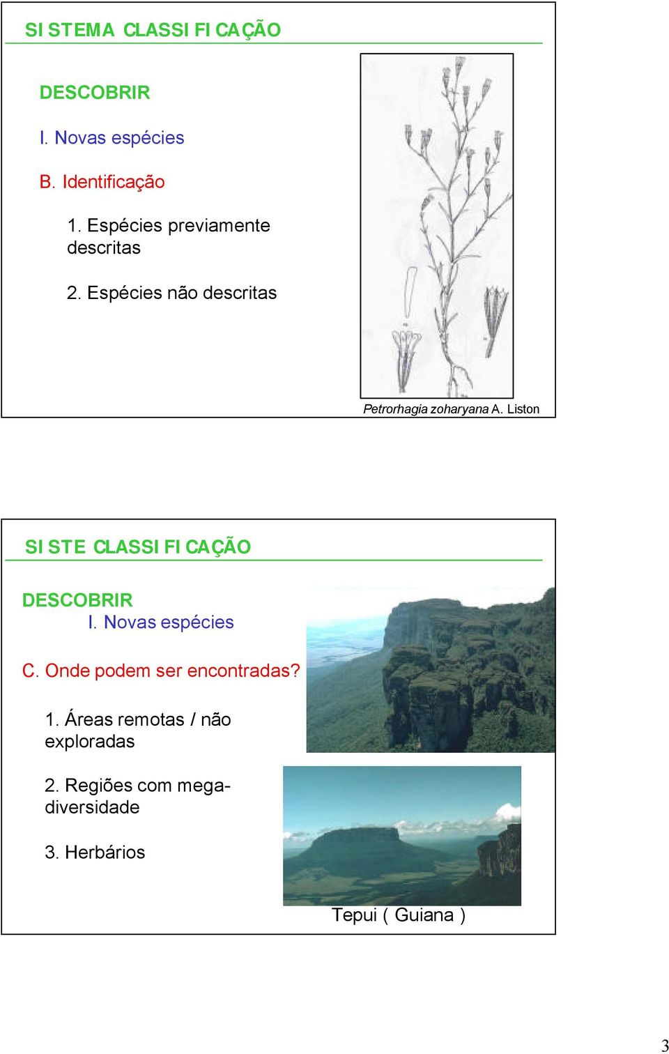 Liston SISTE CLASSIFICAÇÃO DESCOBRIR I. Novas espécies C.