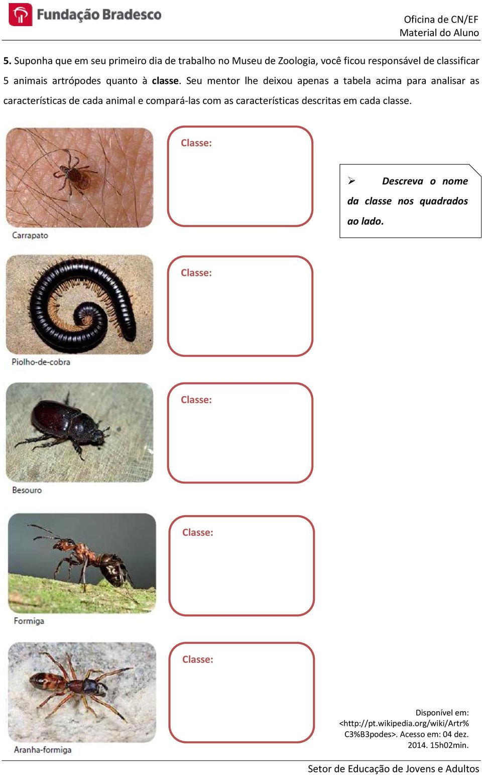 Seu mentor lhe deixou apenas a tabela acima para analisar as características de cada animal e compará-las com as