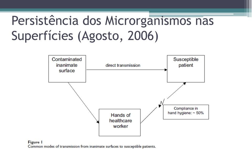 Microrganismos