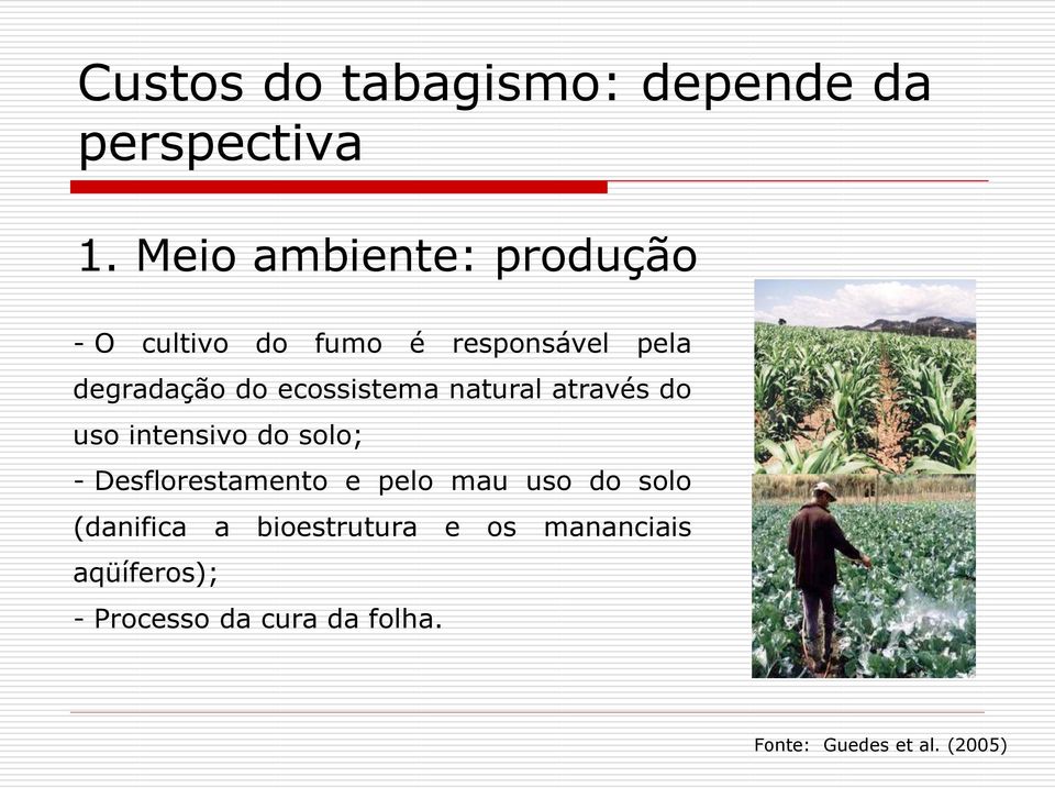 ecossistema natural através do uso intensivo do solo; - Desflorestamento e pelo