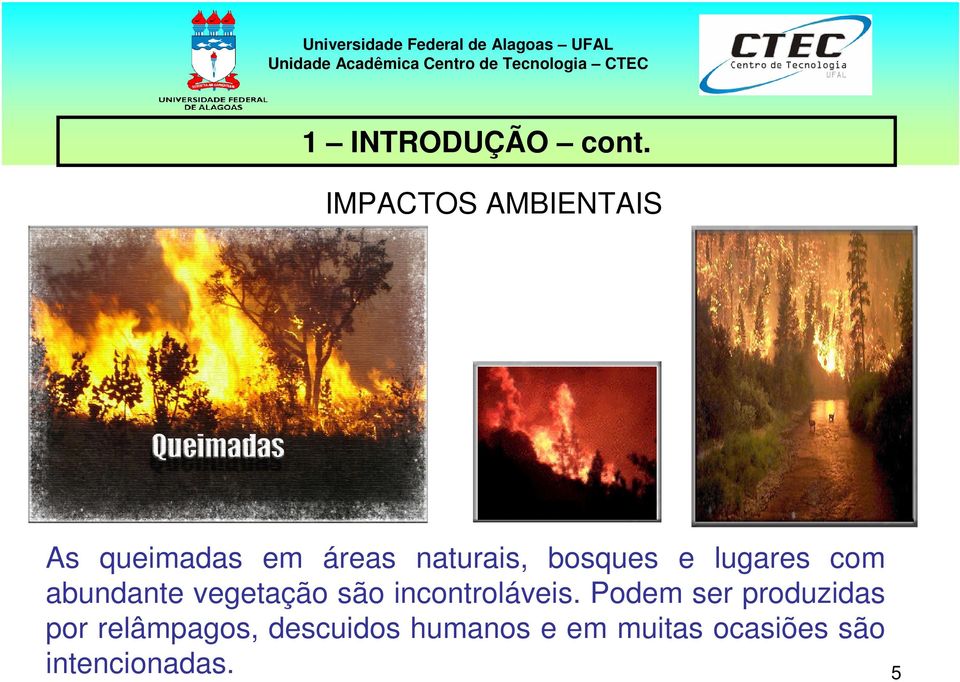 bosques e lugares com abundante vegetação são