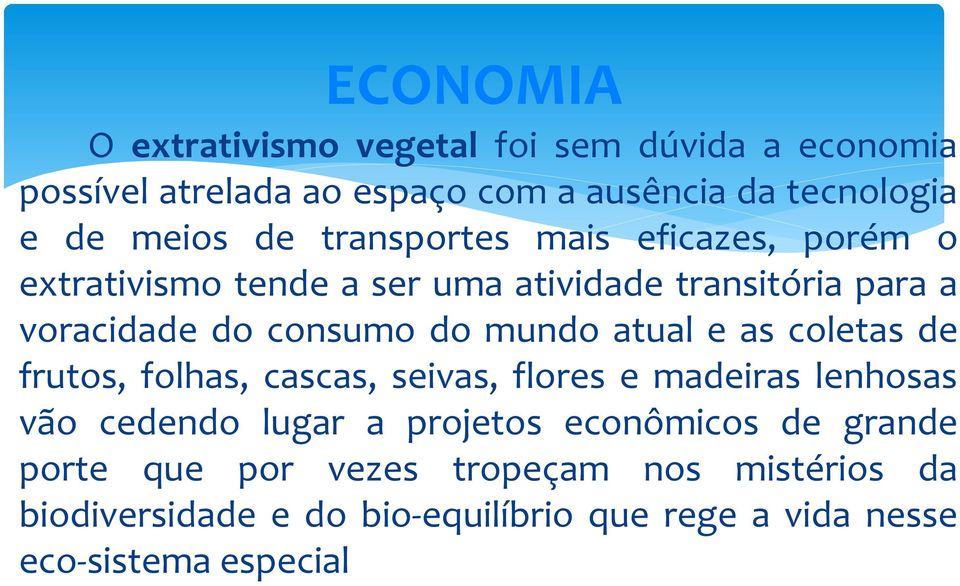 atual e as coletas de frutos, folhas, cascas, seivas, flores e madeiras lenhosas vão cedendo lugar a projetos econômicos de