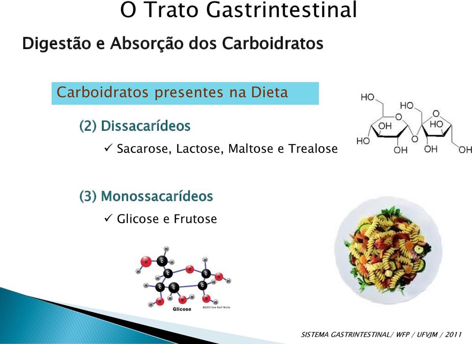 Dissacarídeos Sacarose, Lactose, Maltose