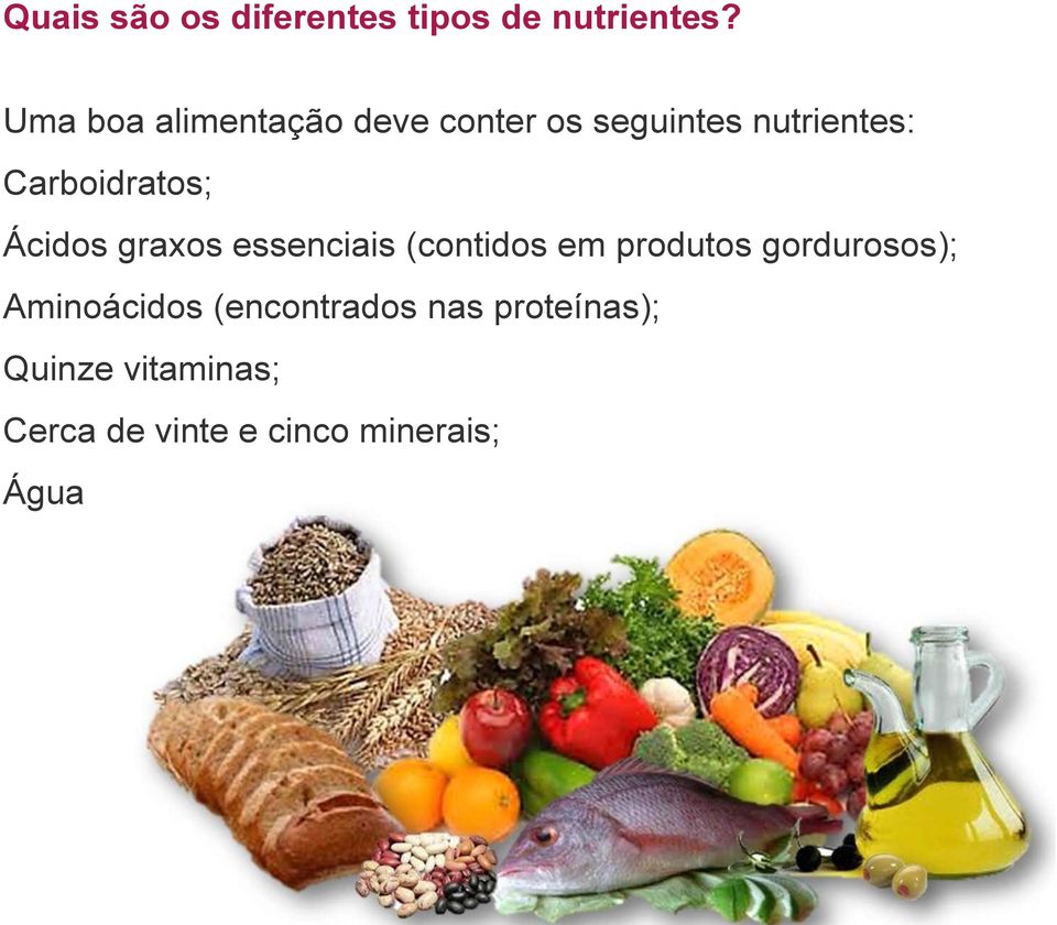 Carboidratos; Ácidos graxos essenciais (contidos em produtos
