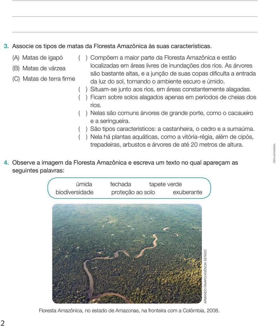 ( ) Situam-se junto aos rios, em áreas constantemente alagadas. ( ) Ficam sobre solos alagados apenas em períodos de cheias dos rios.