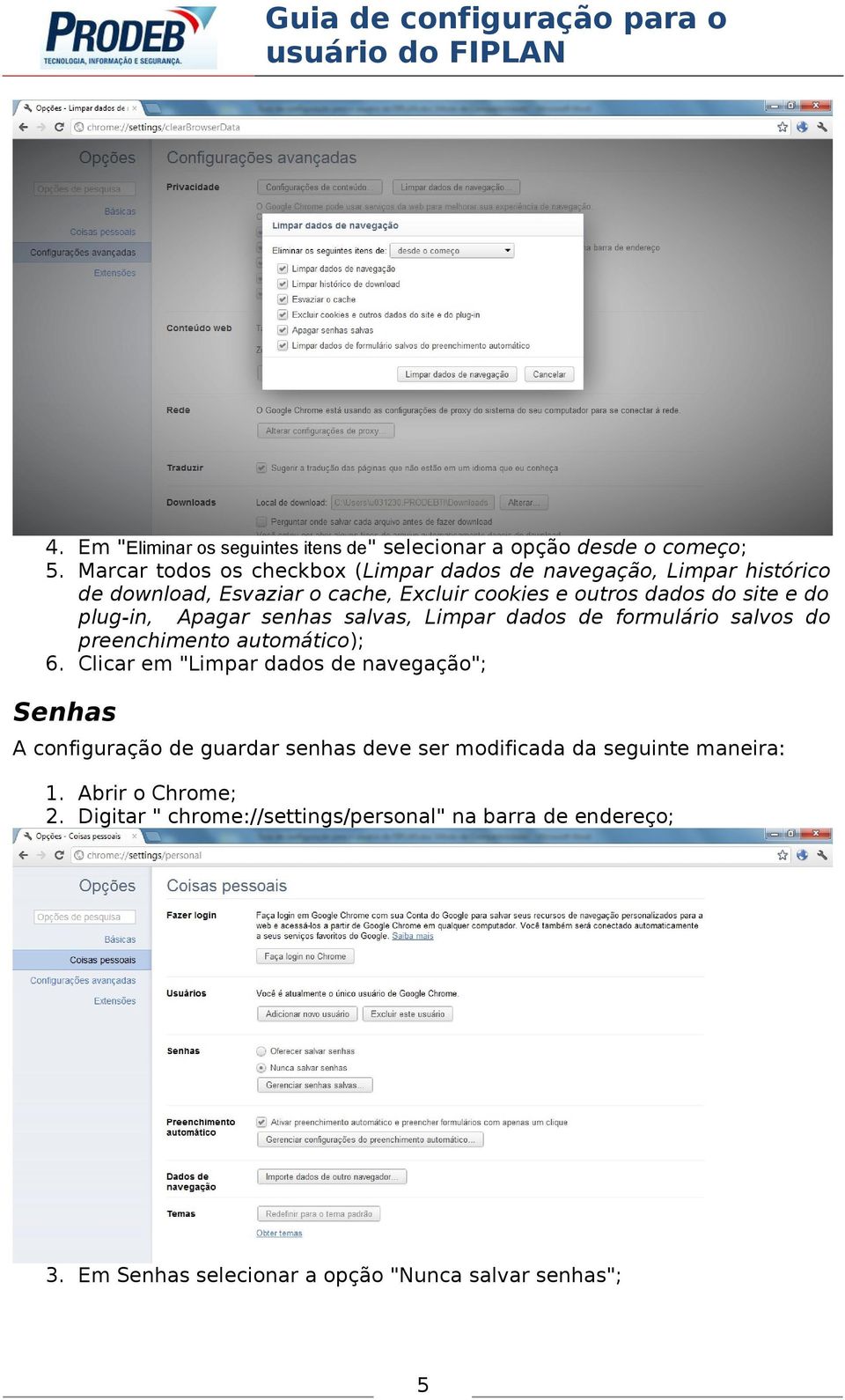 plug-in, Apagar senhas salvas, Limpar dados de formulário salvos do preenchimento automático); 6.