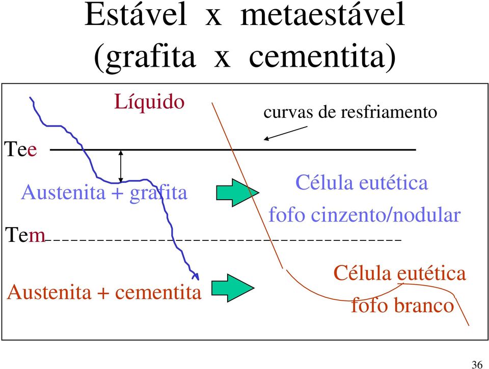 cementita curvas de resfriamento Célula eutética