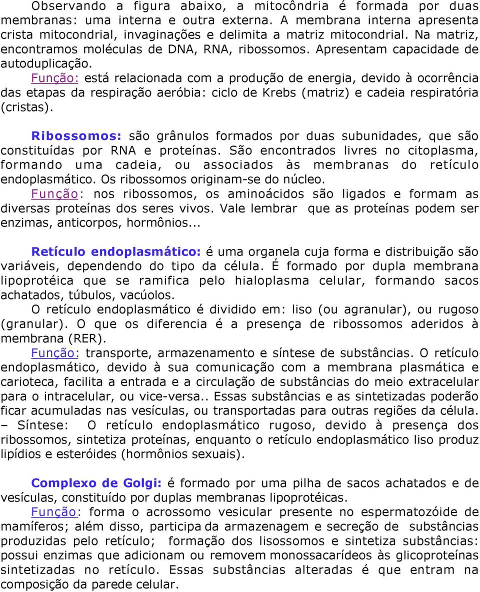 Função: está relacionada com a produção de energia, devido à ocorrência das etapas da respiração aeróbia: ciclo de Krebs (matriz) e cadeia respiratória (cristas).