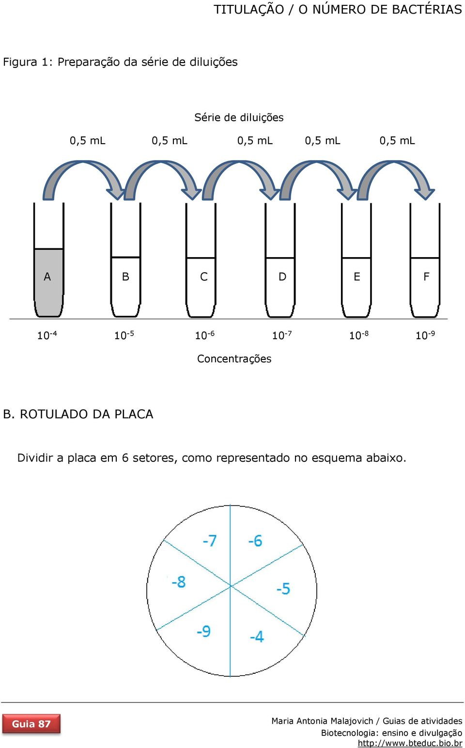 10-4 10-5 10-6 10-7 10-8 10-9 Concentrações B.