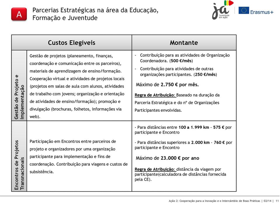 Cooperação virtual e atividades de projetos locais (projetos em salas de aula com alunos, atividades de trabalho com jovens; organização e orientação de atividades de ensino/formação); promoção e