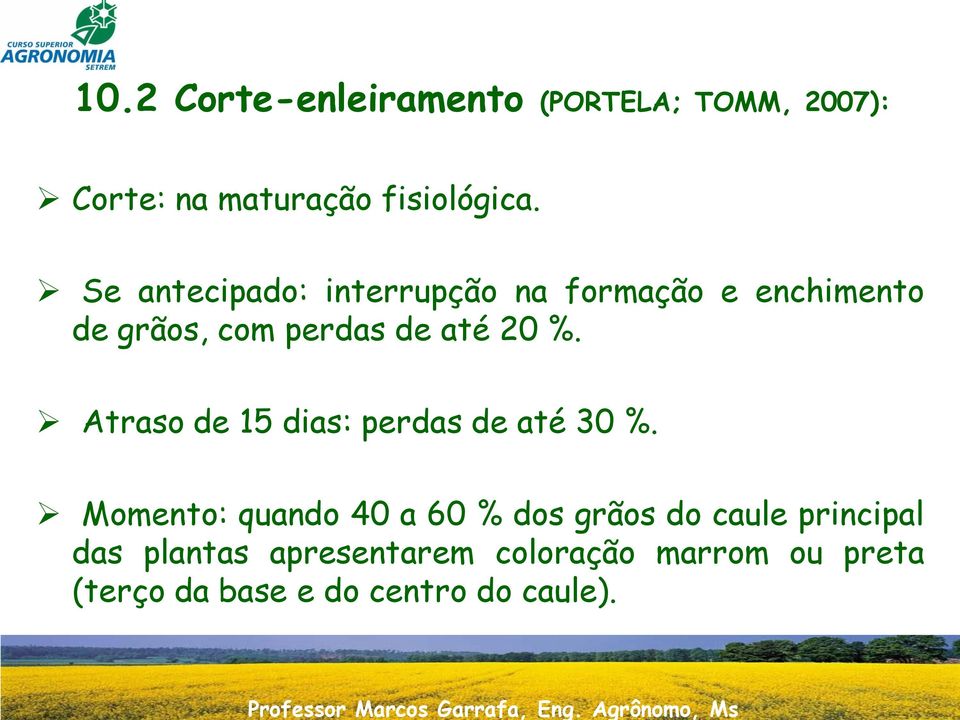 Se antecipado: interrupção na formação e enchimento de grãos, com perdas de até 20 %.