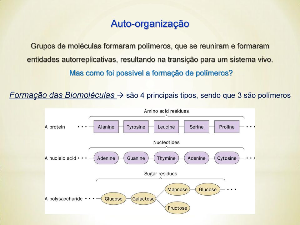 transição para um sistema vivo.