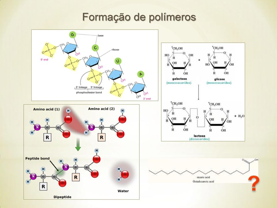 polímeros