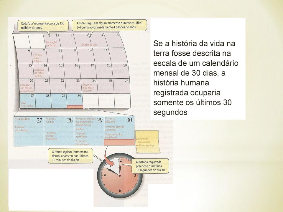 mensal de 30 dias, a história humana