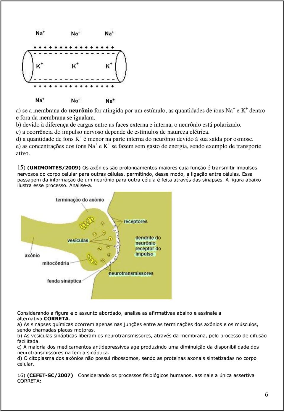 d) a quantidade de íons K + é menor na parte interna do neurônio devido à sua saída por osmose.