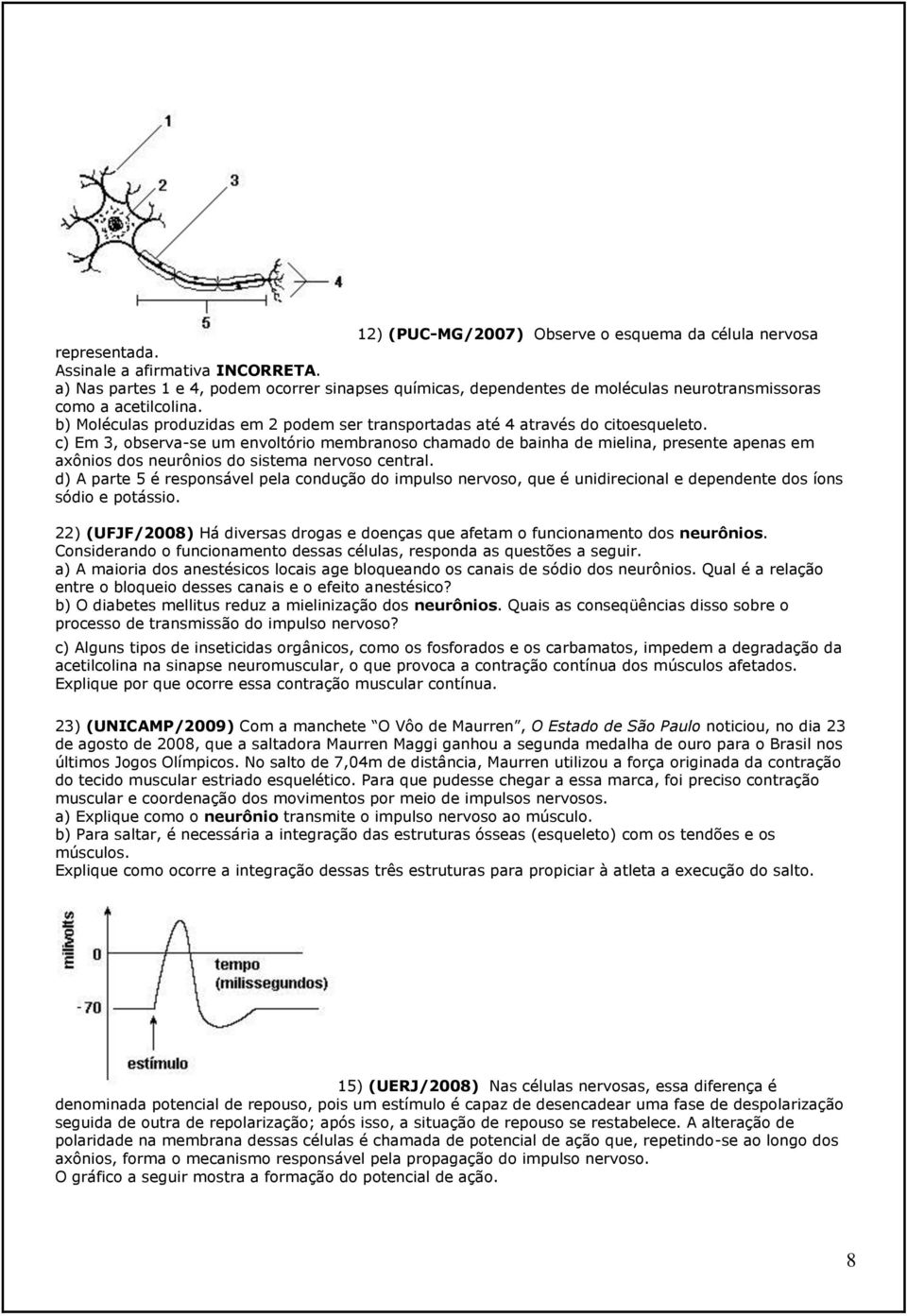 b) Moléculas produzidas em 2 podem ser transportadas até 4 através do citoesqueleto.