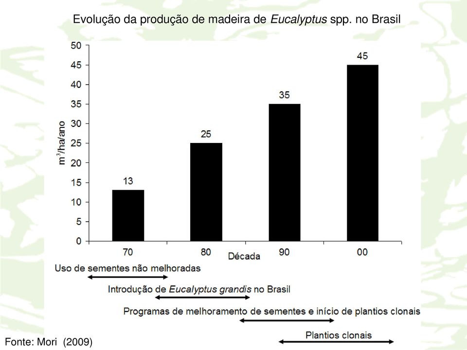 produção de madeira