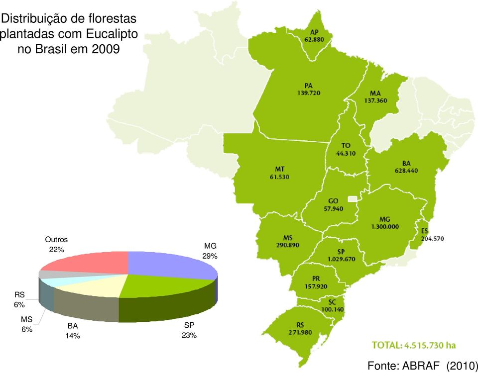 Brasil em 2009 Outros 22% MG 29%