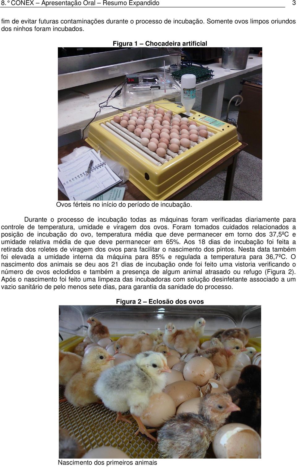 Durante o processo de incubação todas as máquinas foram verificadas diariamente para controle de temperatura, umidade e viragem dos ovos.