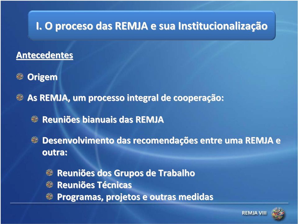 REMJA Desenvolvimento das recomendações entre uma REMJA e outra: