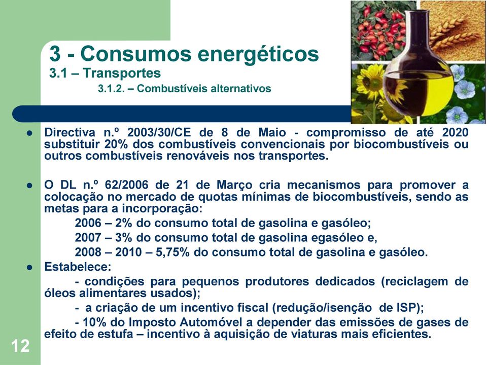 º 62/2006 de 21 de Março cria mecanismos para promover a colocação no mercado de quotas mínimas de biocombustíveis, sendo as metas para a incorporação: 2006 2% do consumo total de gasolina e gasóleo;
