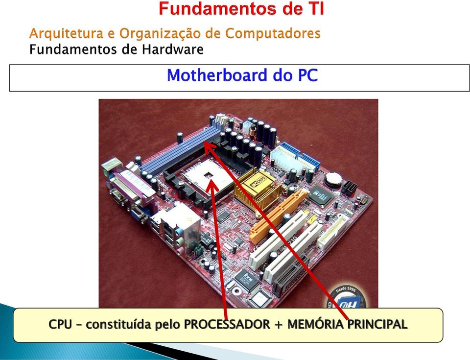 pelo PROCESSADOR