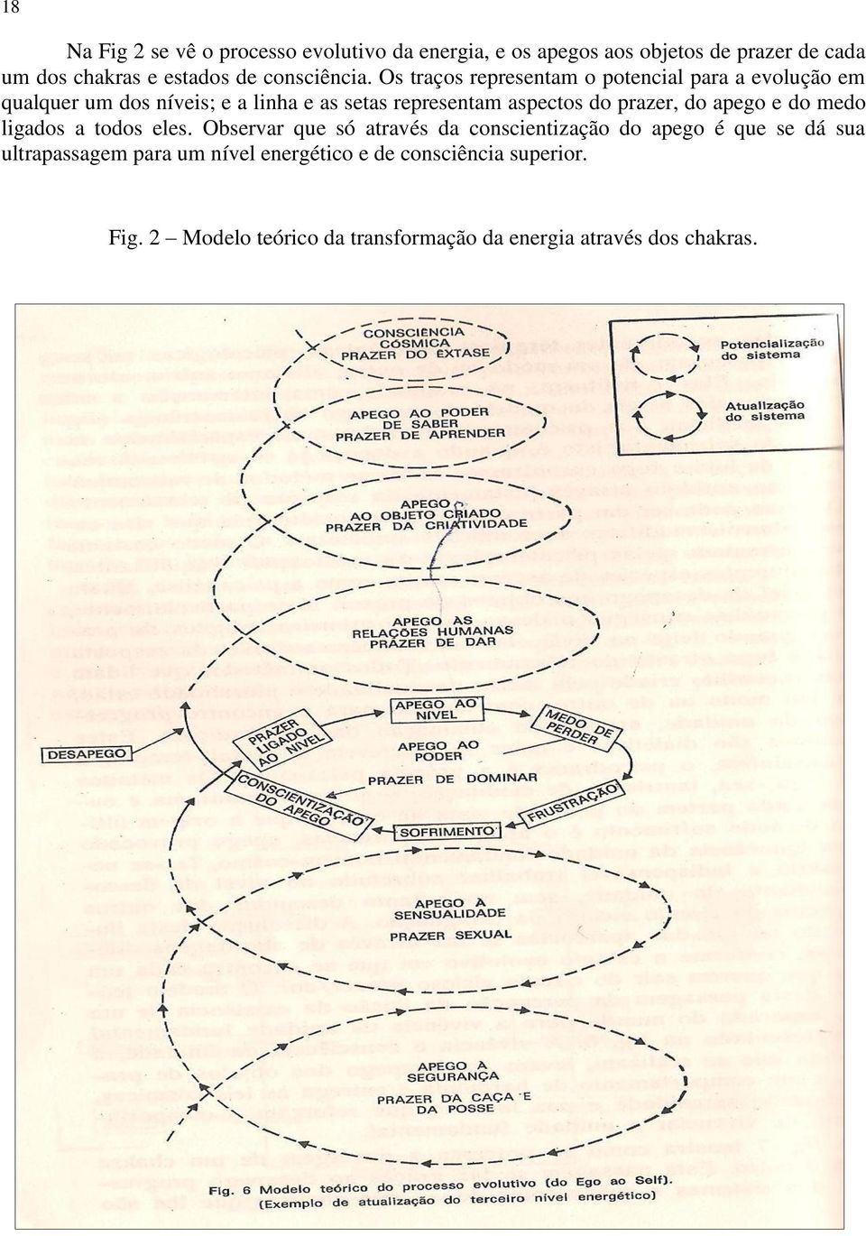 Os traços representam o potencial para a evolução em qualquer um dos níveis; e a linha e as setas representam aspectos do