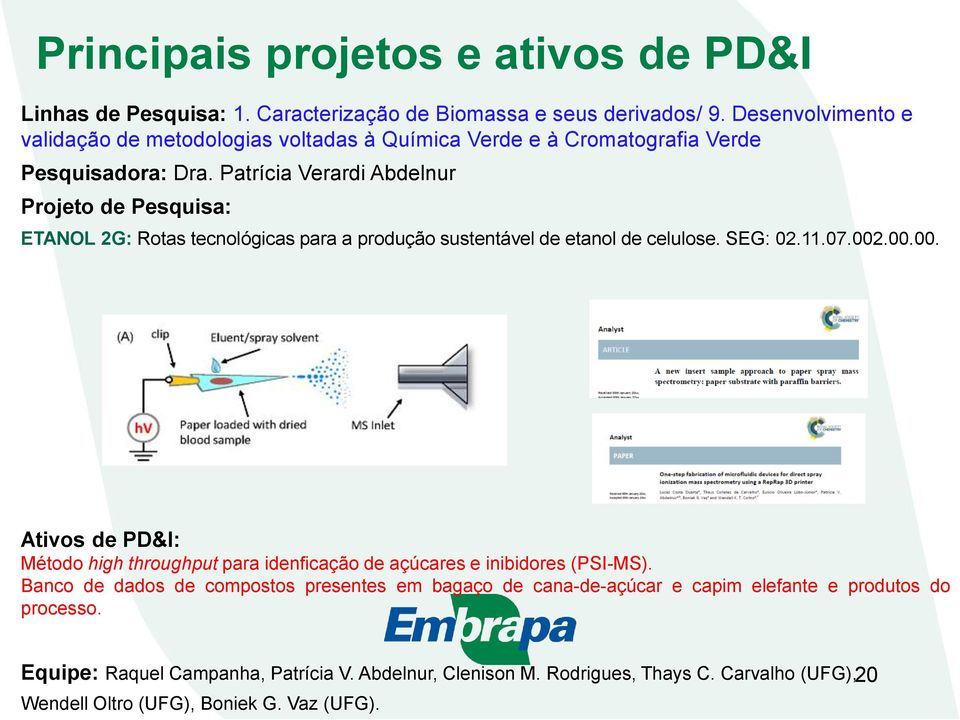 Patrícia Verardi Abdelnur Projeto de Pesquisa: ETANOL 2G: Rotas tecnológicas para a produção sustentável de etanol de celulose. SEG: 02.11.07.002