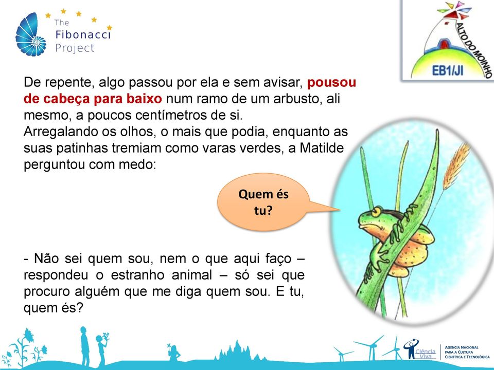 Arregalando os olhos, o mais que podia, enquanto as suas patinhas tremiam como varas verdes, a