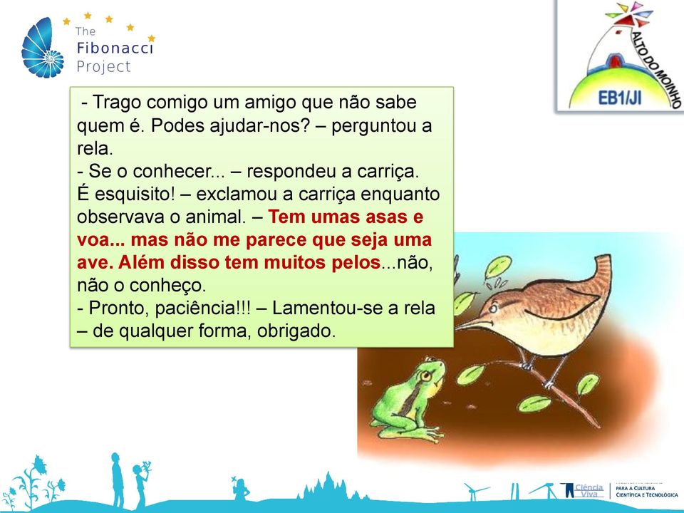 exclamou a carriça enquanto observava o animal. Tem umas asas e voa.