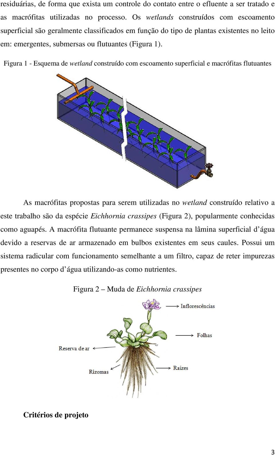 Figura 1 - Esquema de wetland construído com escoamento superficial e macrófitas flutuantes As macrófitas propostas para serem utilizadas no wetland construído relativo a este trabalho são da espécie