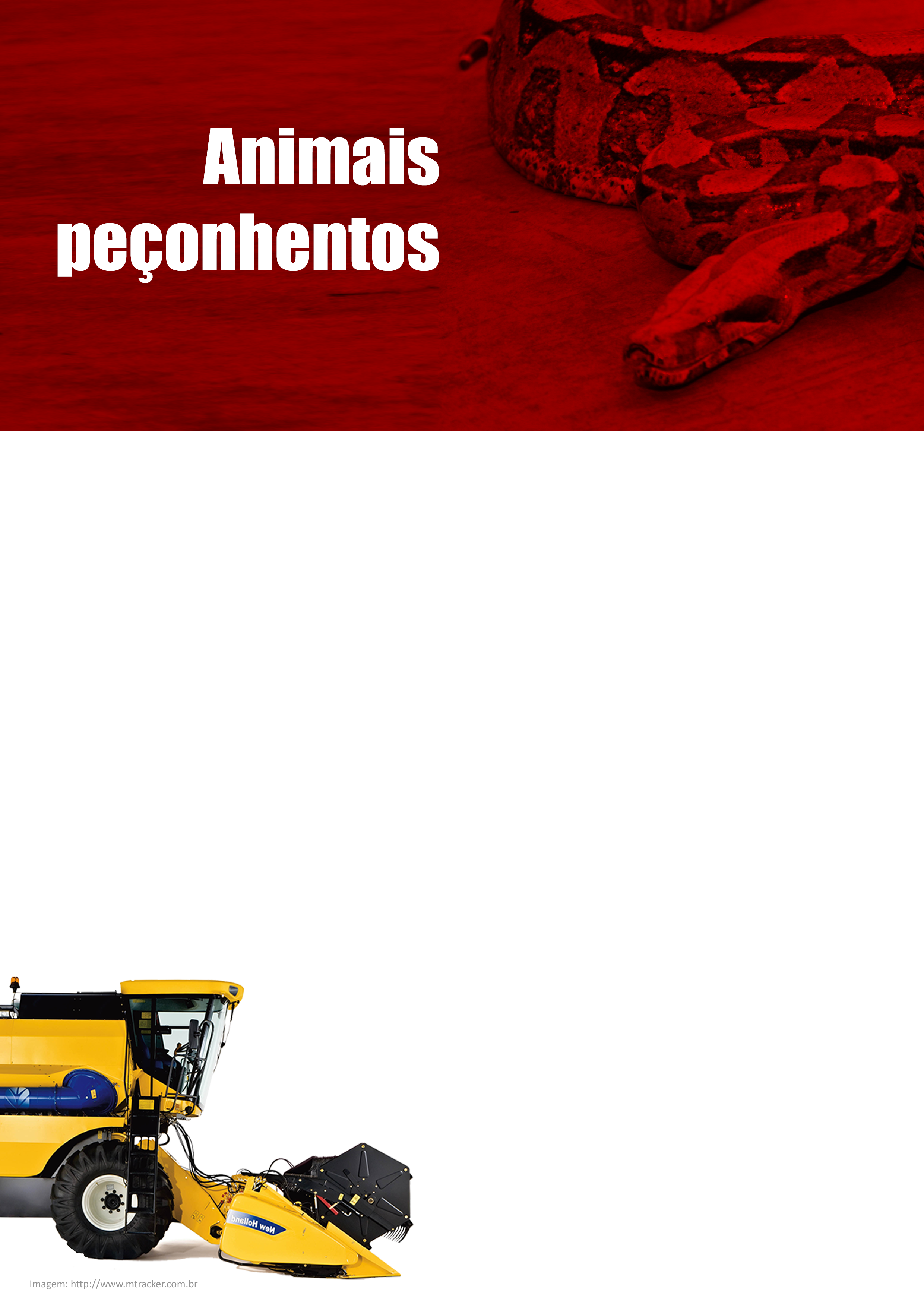 Atente-se para a importância da limpeza das áreas externas das casas, quintais, jardins, estábulos, etc. Fechamentos de frestas, buracos, forros, também ajudam a prevenir.