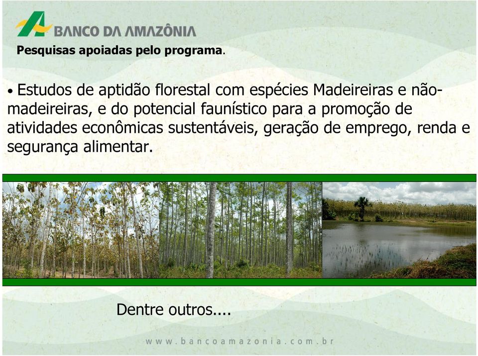 madeireiras, e do potencial faunístico para a promoção de