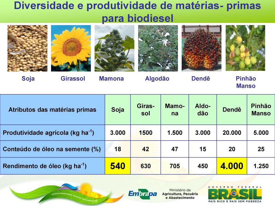Manso Produtividade agrícola (kg ha -1 ) 3.000 1500 1.500 3.000 20.000 5.