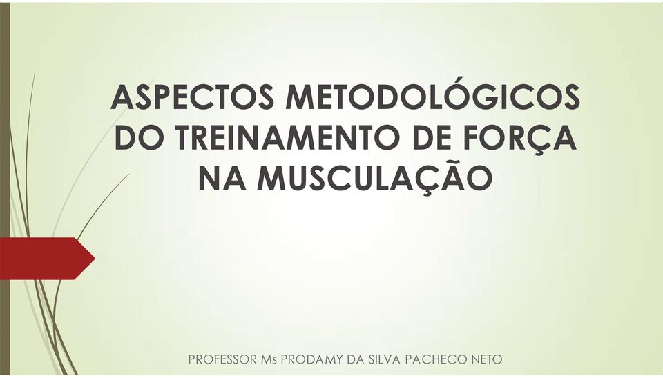 MUSCULAÇÃO PROFESSOR Ms