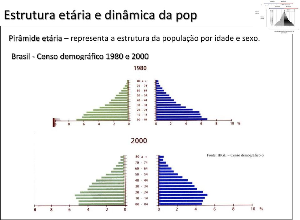 estrutura da população por idade e