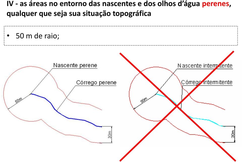 perenes, qualquer que seja sua