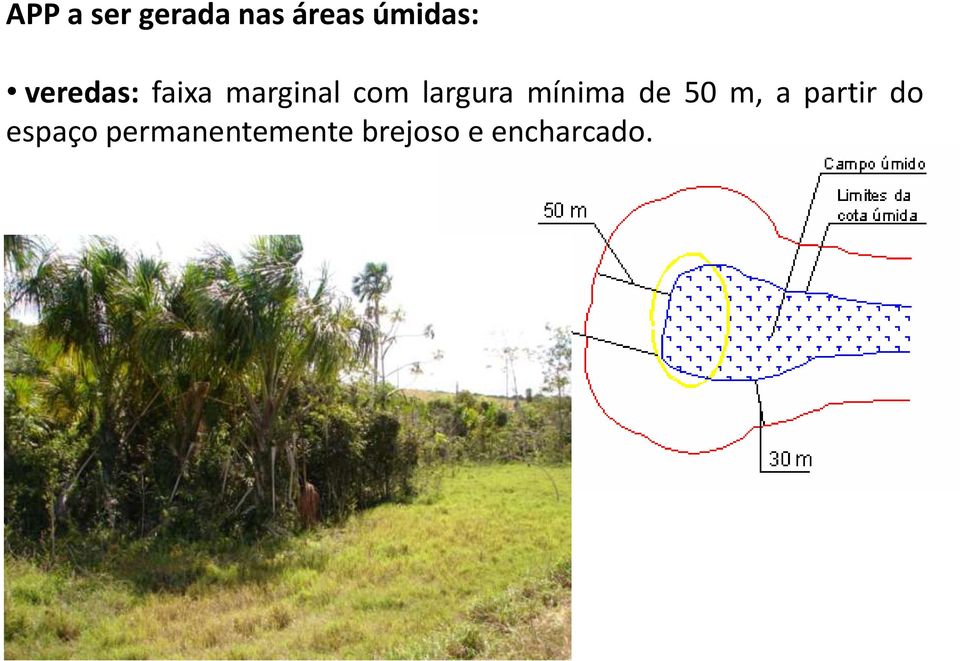 mínima de 50 m, a partir do espaço