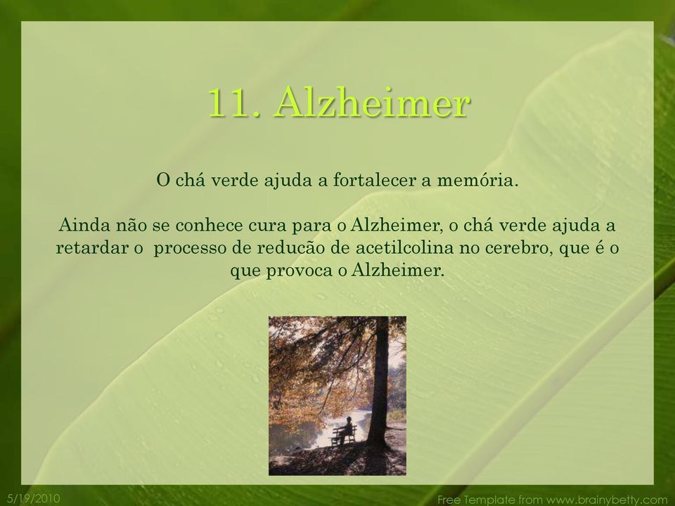 Ainda não se conhece cura para o Alzheimer, o chá