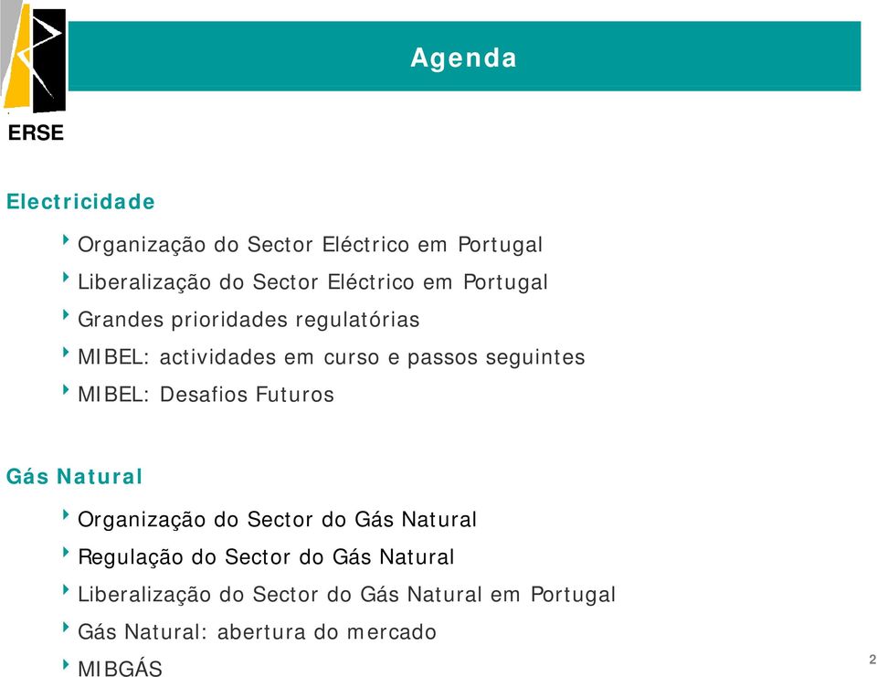 8MIBEL: Desafios Futuros Gás Natural 8Organização do Sector do Gás Natural