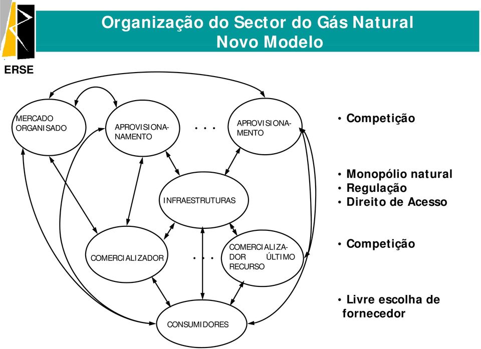 Monopólio natural Regulação Direito de Acesso COMERCIALIZADOR.