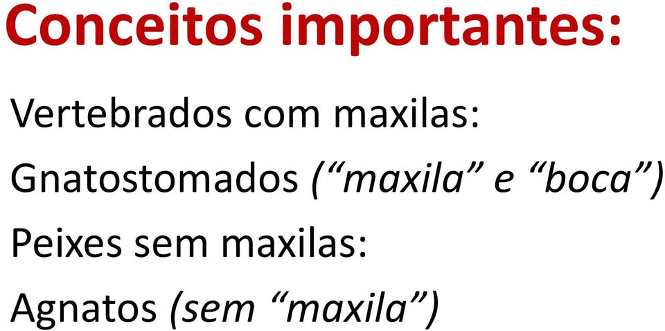 Gnatostomados ( maxila e boca