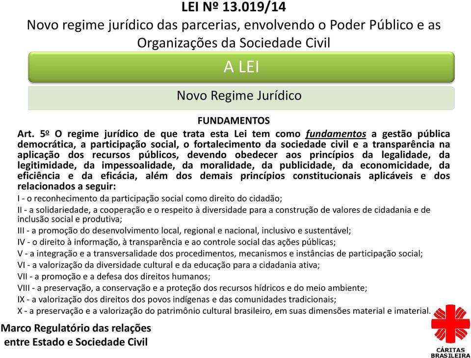 públicos, devendo obedecer aos princípios da legalidade, da legitimidade, da impessoalidade, da moralidade, da publicidade, da economicidade, da eficiência e da eficácia, além dos demais princípios